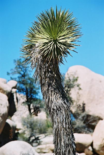 jtnp107F1010033_
