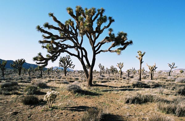 jtnp110F1010036_